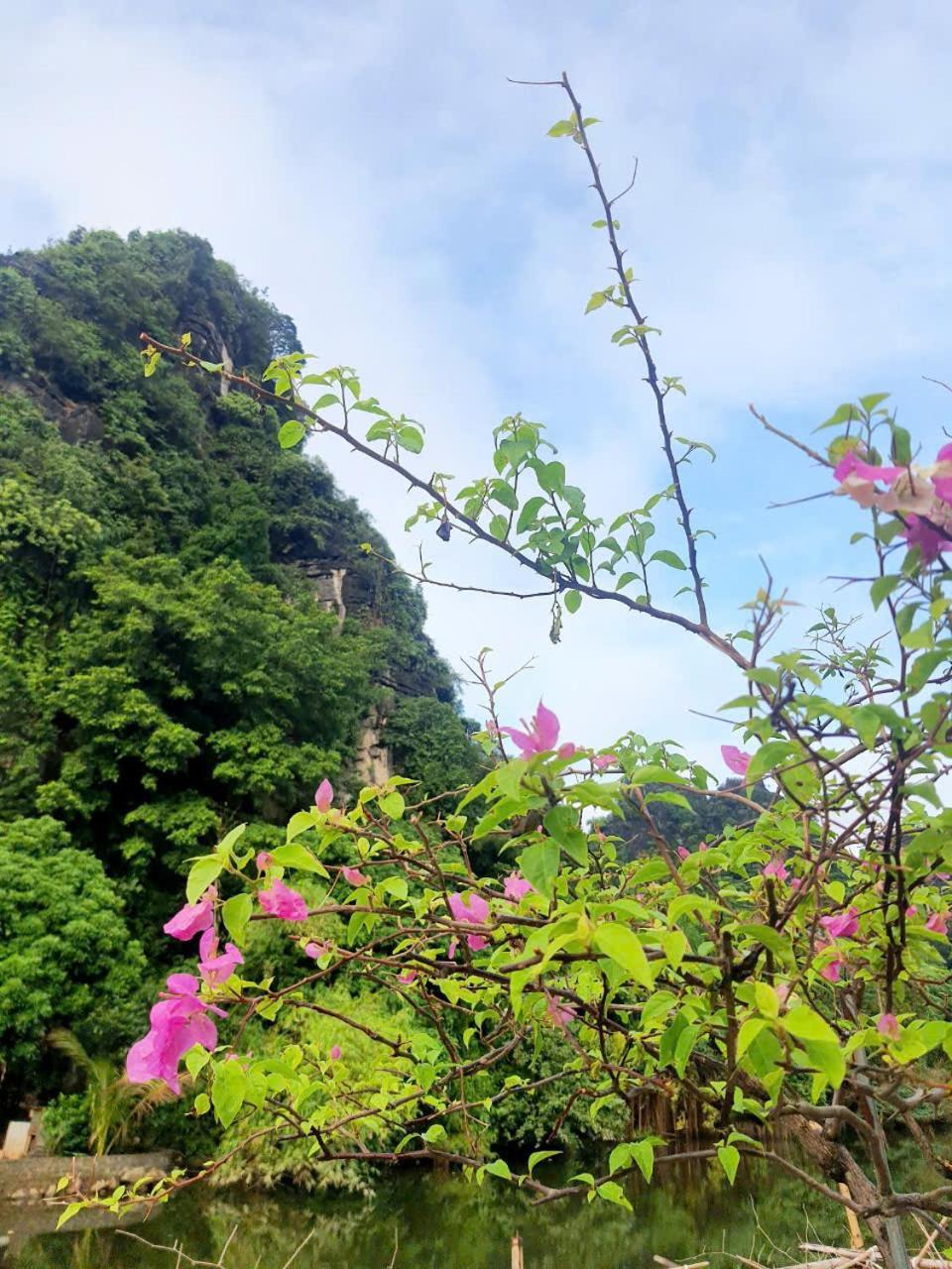 Trang An Hana Homestay Nguyen Ngoai 外观 照片