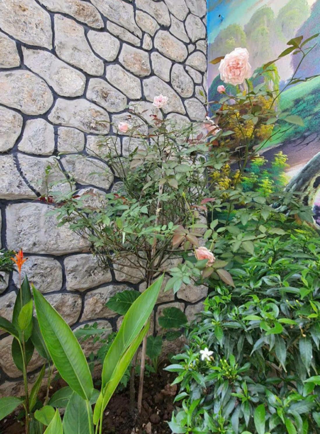 Trang An Hana Homestay Nguyen Ngoai 外观 照片