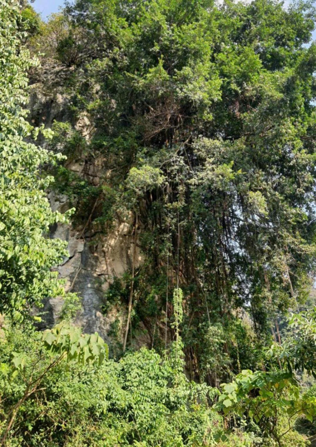 Trang An Hana Homestay Nguyen Ngoai 外观 照片