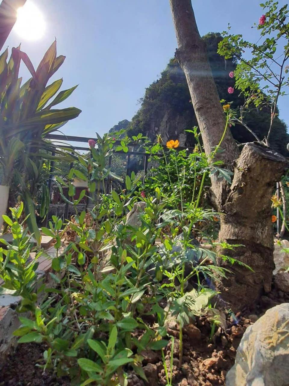 Trang An Hana Homestay Nguyen Ngoai 外观 照片